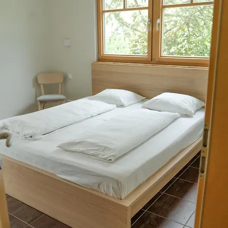 Waldemar Apartment Saalfelden