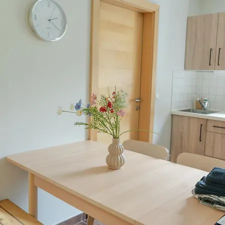 Waldemar Apartment Saalfelden